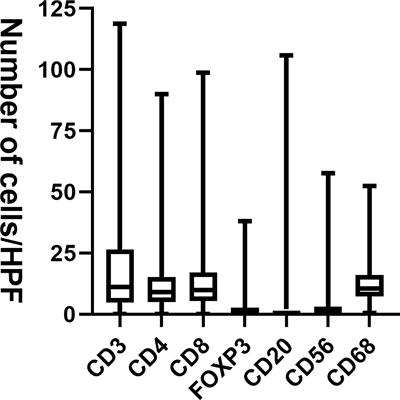 Clinical and Prognostic Significance of Tumor-Infiltrating CD8+ T Cells and PD-L1 Expression in Primary Gastrointestinal Stromal Tumors